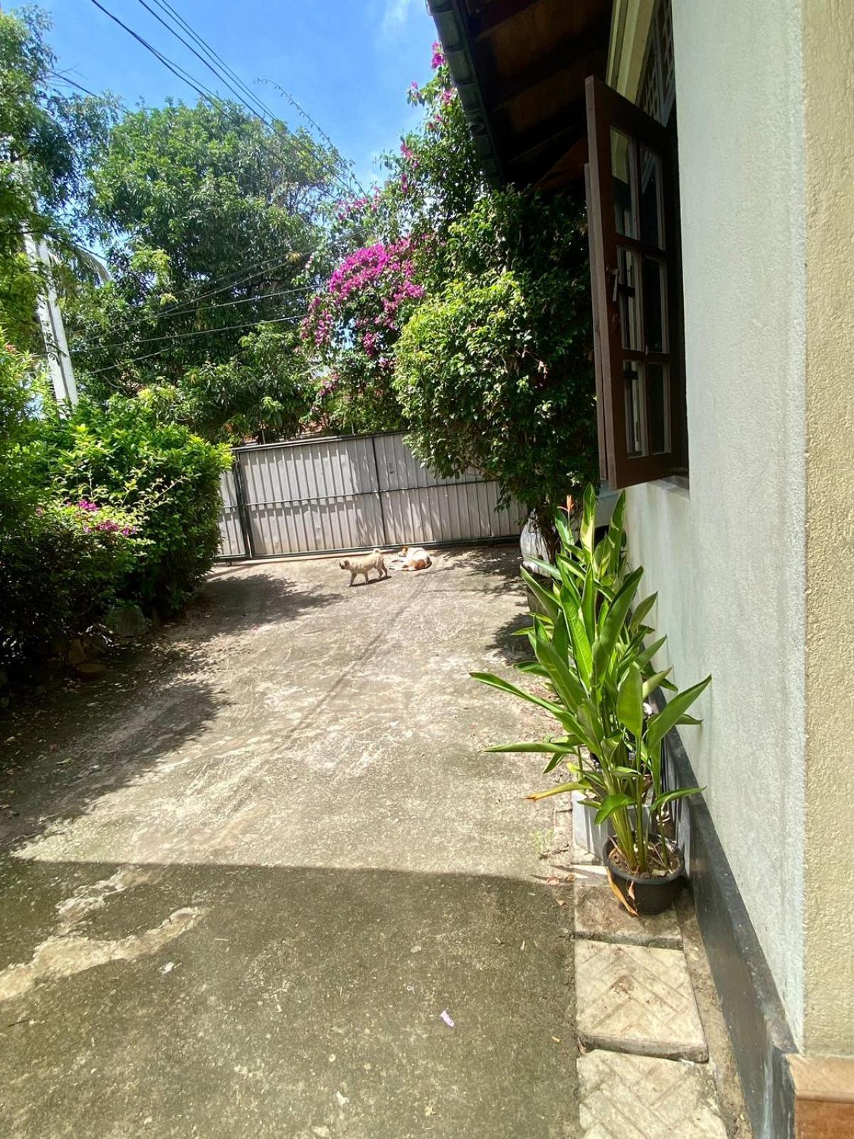 Noahs Ark Transit Stay Moratuwa Extérieur photo