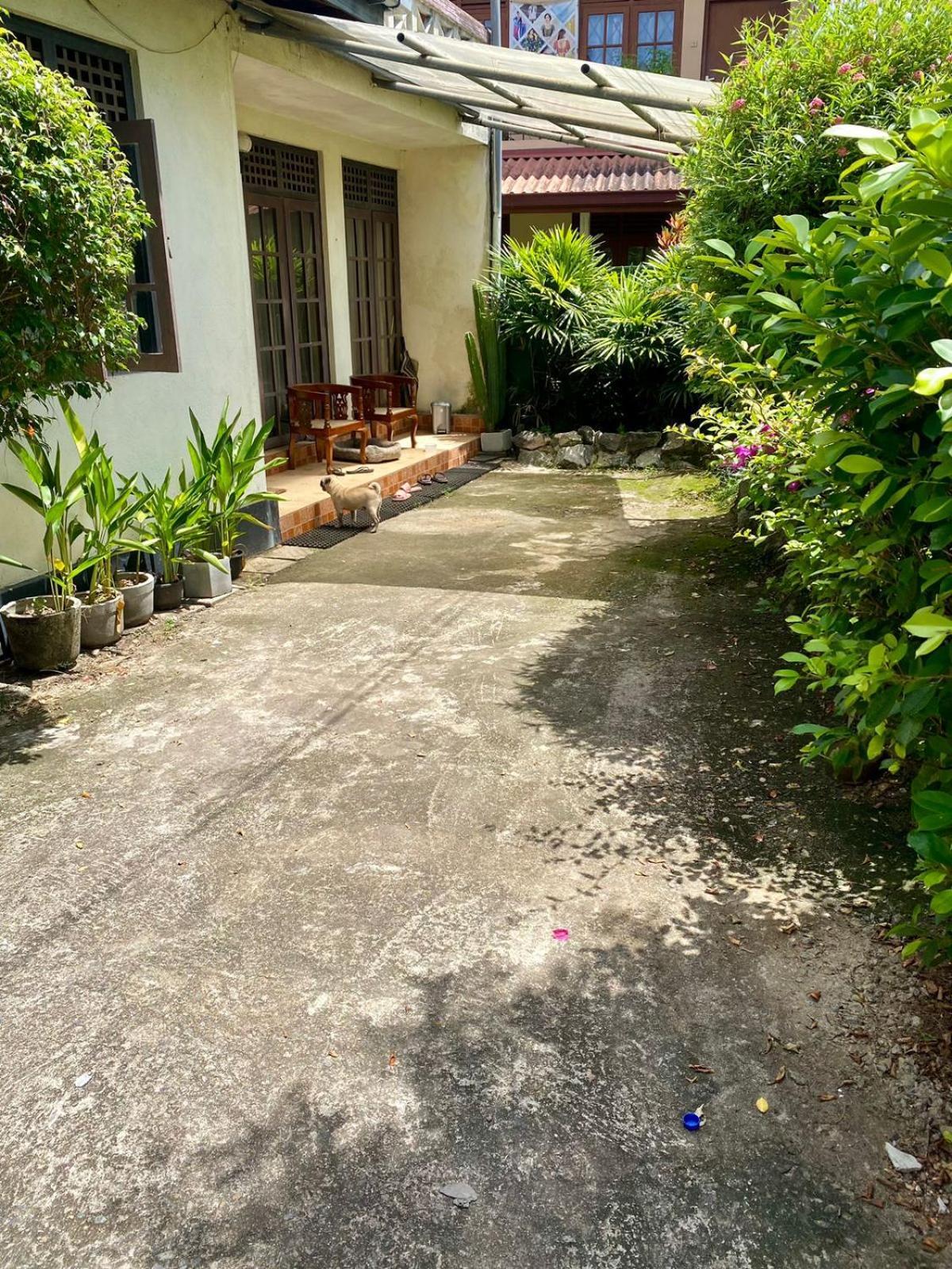 Noahs Ark Transit Stay Moratuwa Extérieur photo
